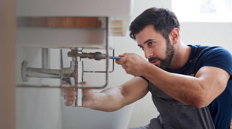 Trap Repair/Replacement in Lodge, SC